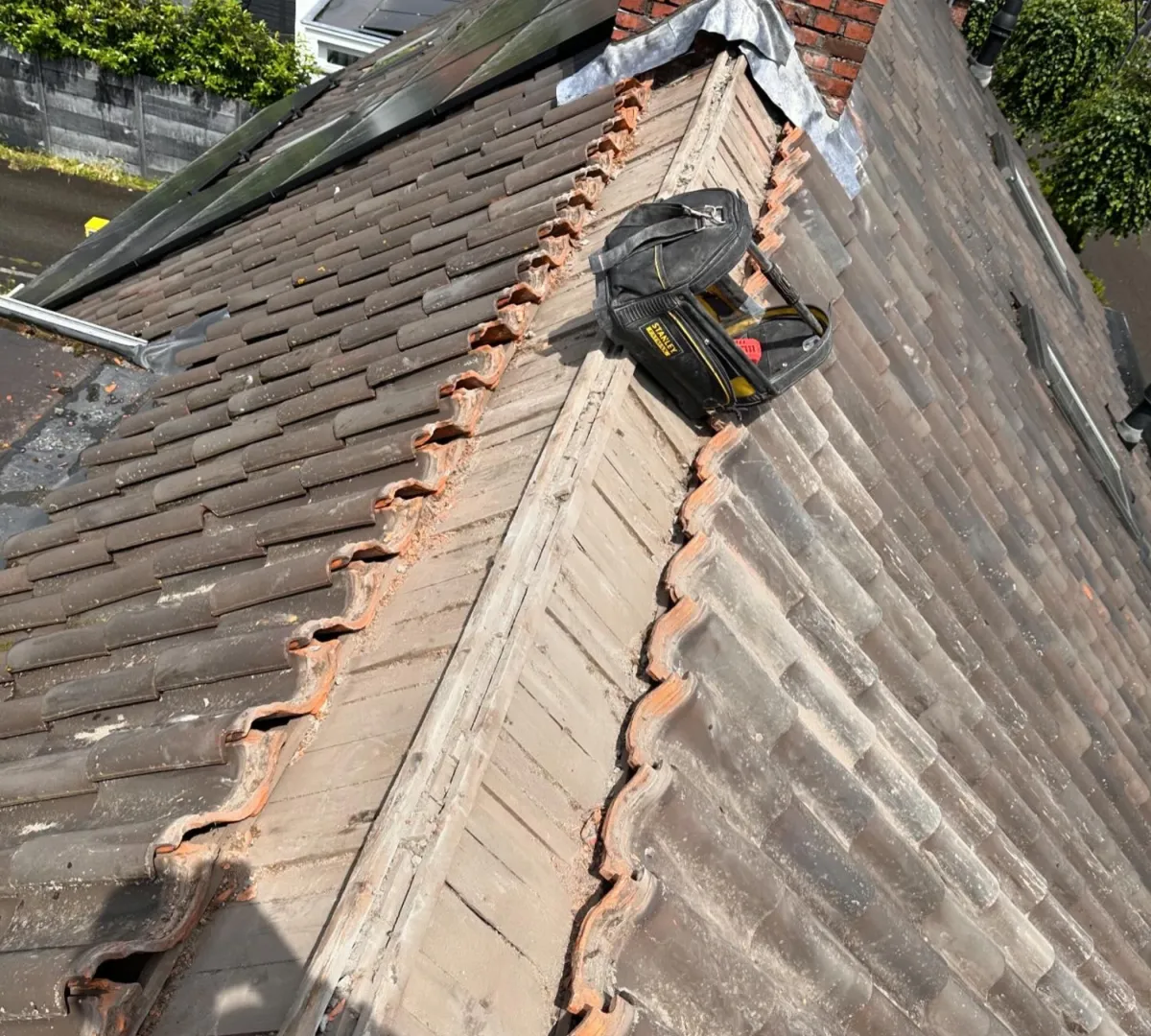 Nokvorsten renoveren