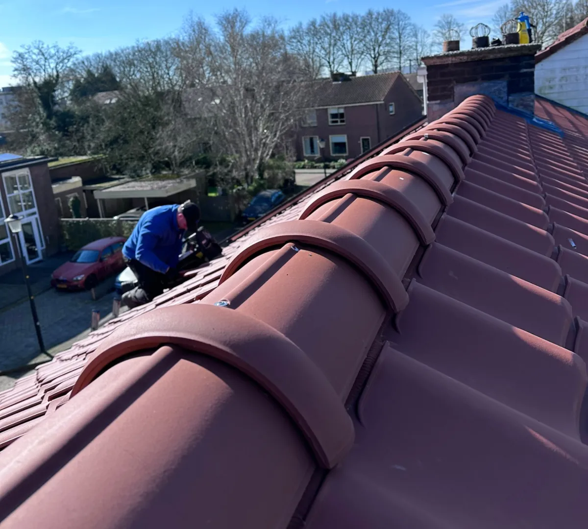 Nokvorsten renoveren