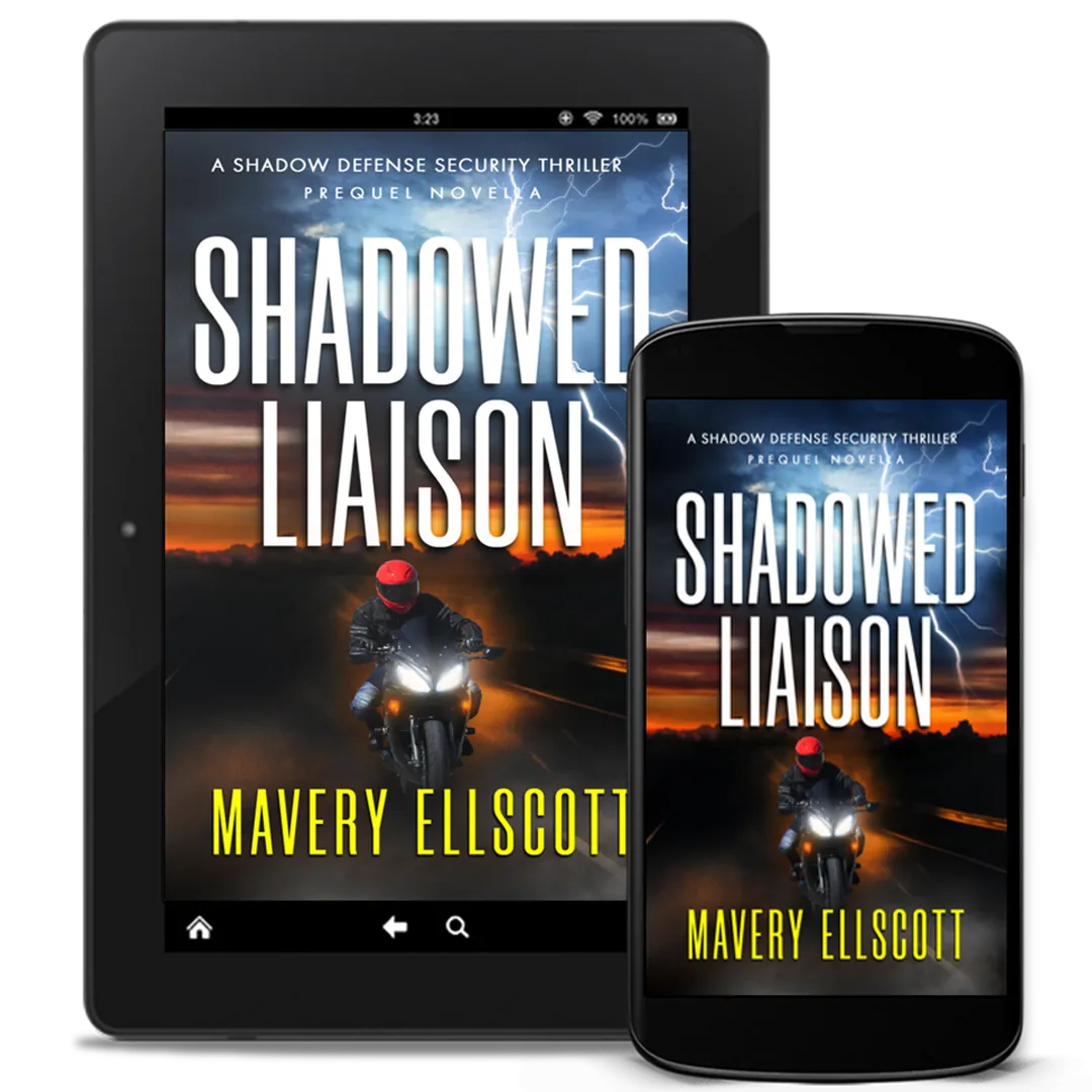 Book Cover: Shadowed Liaison. A motorcyclist speeding down the highway under a fiery sunset with ominous storm clouds and flashes of lightning.