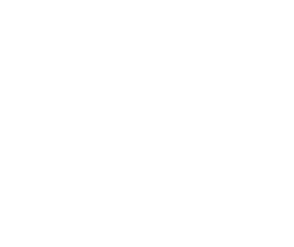 Body & Soul A Healwell Homecoming logo