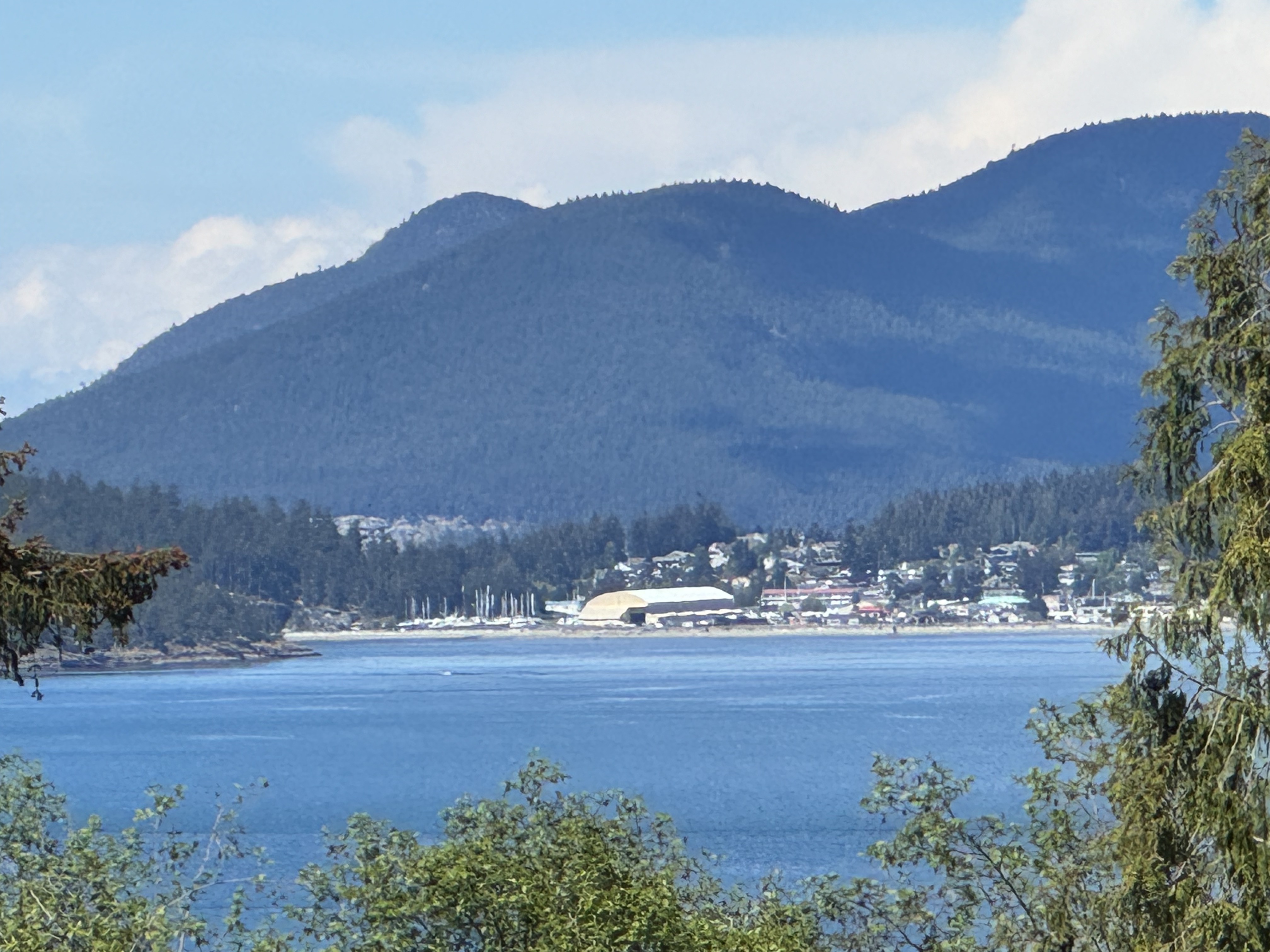 Anacortes from above: the town, the marina, the water and mountains that frame every neighborhood here
