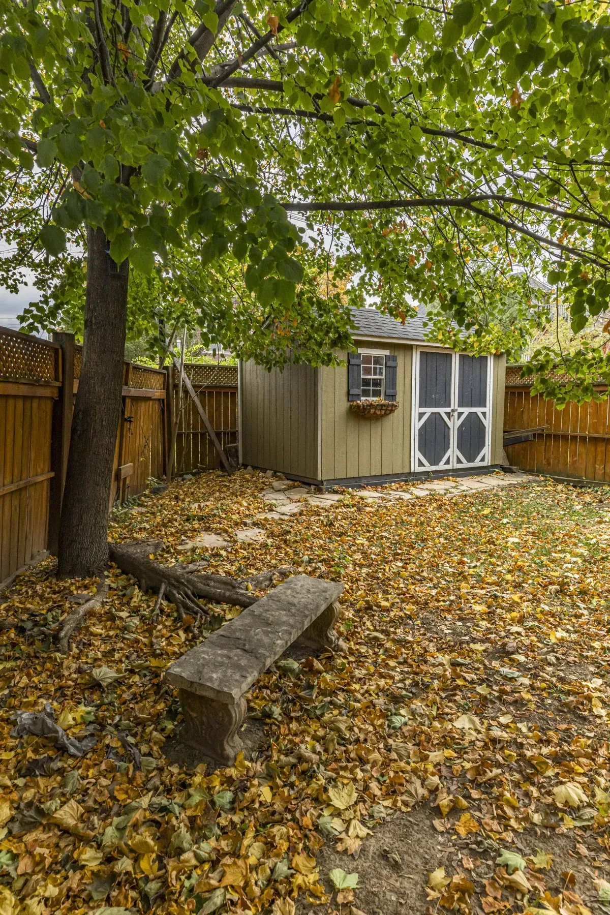 Backyard at 109 Fairleigh Ave S Hamilton.