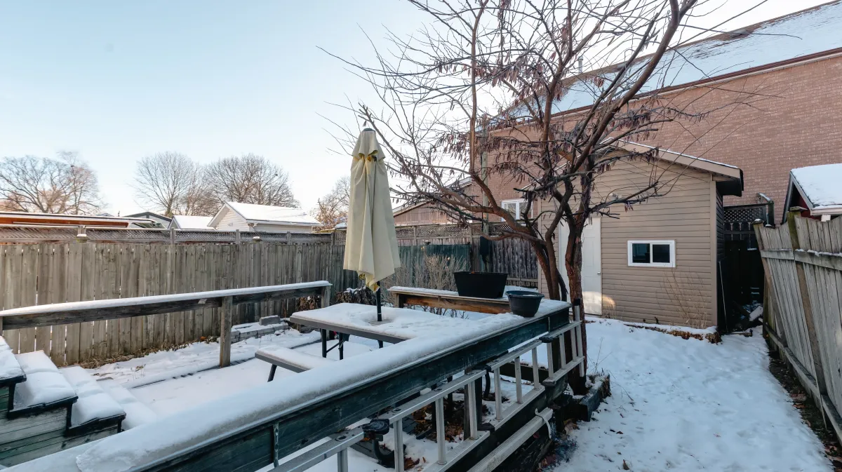 Private fully fenced-in backyard at 81 Lambton Ave featuring an expansive wooden deck and oversized storage shed.