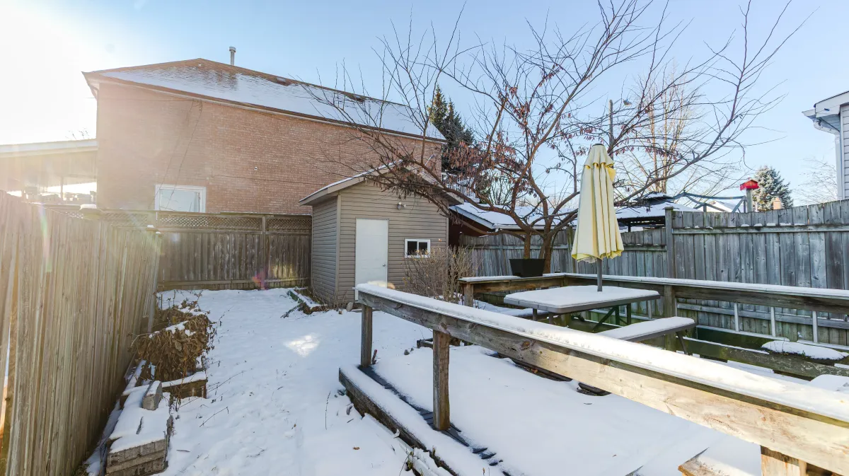 Private fully fenced-in backyard at 81 Lambton Ave featuring an expansive wooden deck and oversized storage shed.
