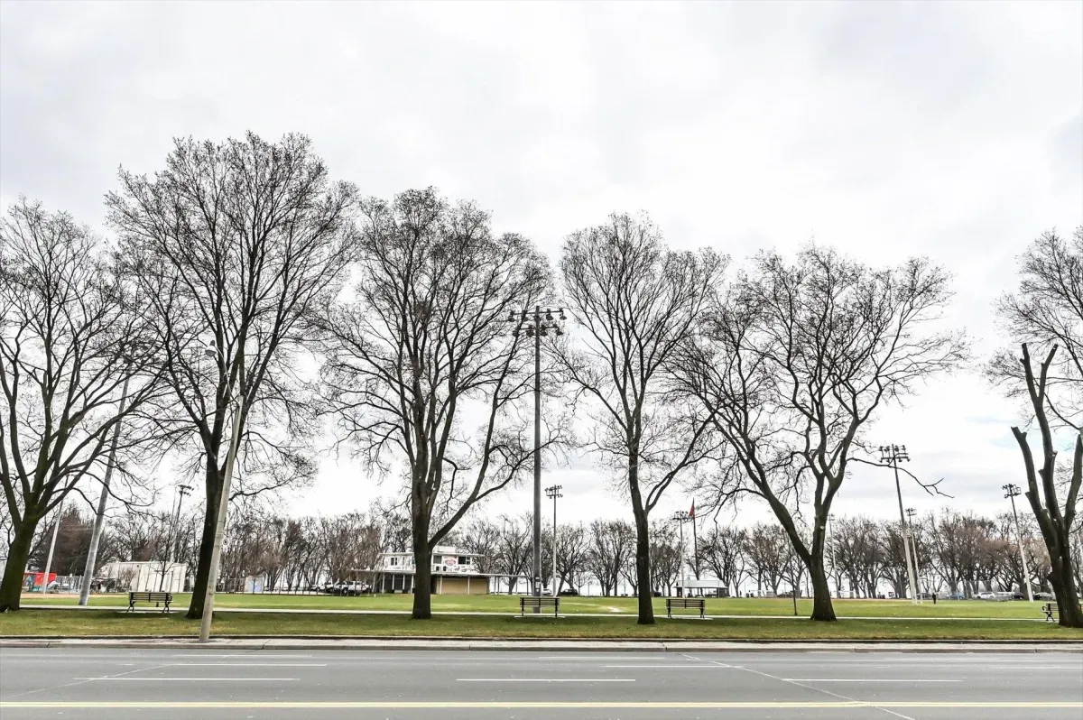 Scenic tree-lined streetscape and park access surrounding 219 Fort York Blvd, Toronto.