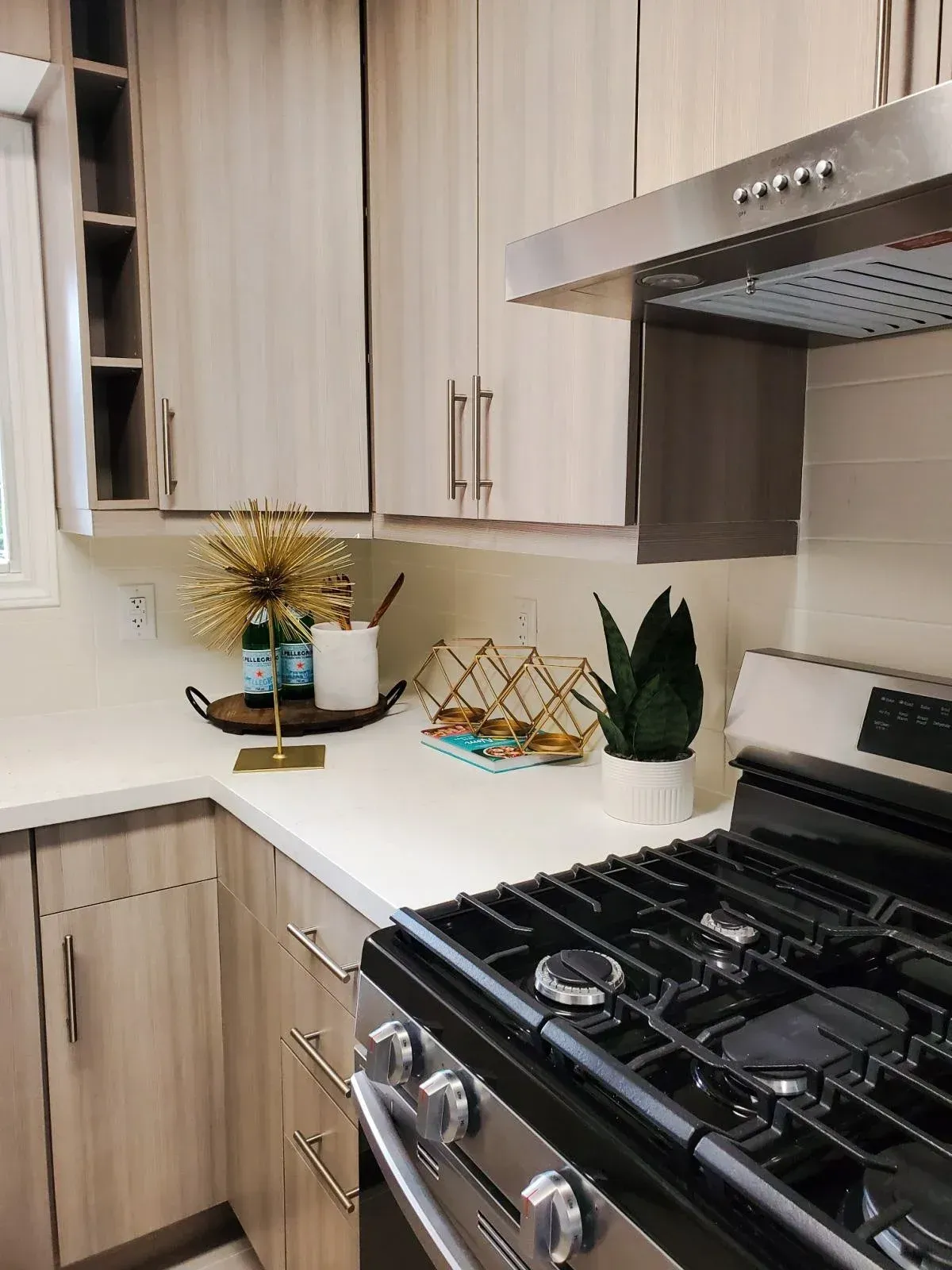 Brand-new designer kitchen at 110 Holliday Dr featuring sleek cabinetry, white countertops, and a professional-grade gas range.