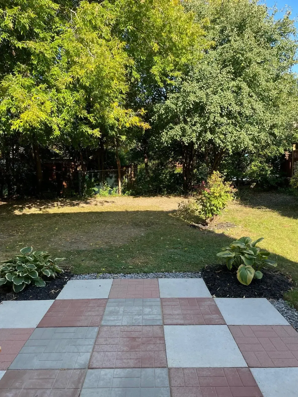 Mature tree line and landscaping in the large backyard of 110 Holliday Dr.