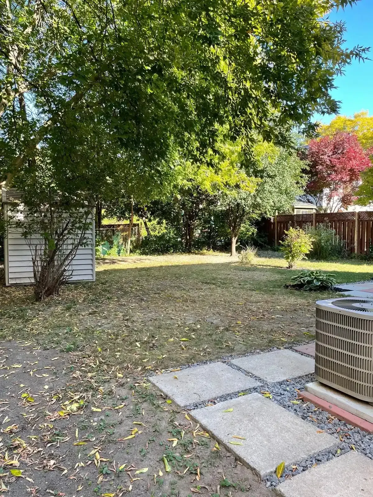 Mature tree line and landscaping in the large backyard of 110 Holliday Dr.
