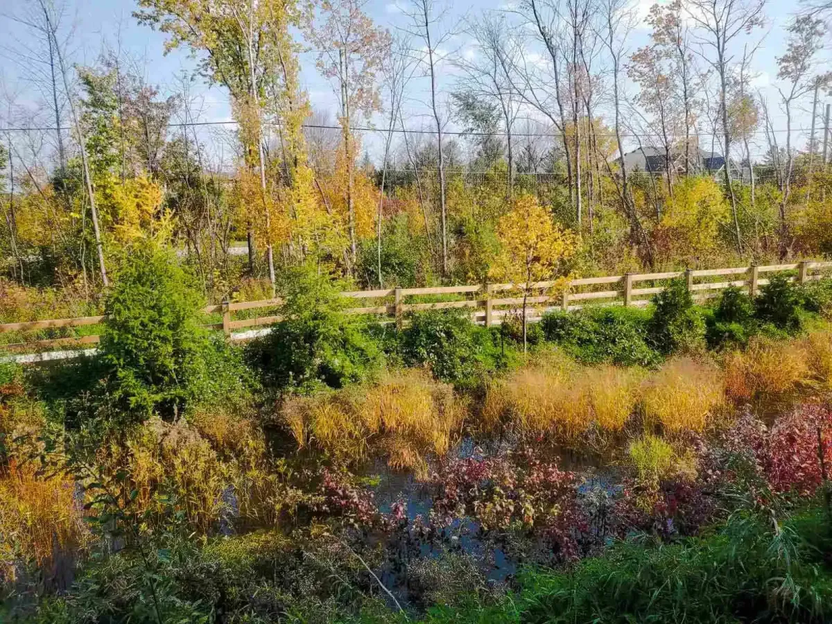 Breathtaking view of the autumn foliage and nature trails directly behind 11 Beausoleil #105.