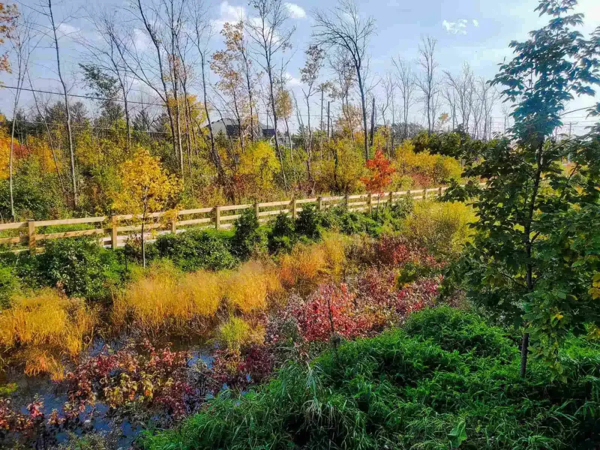 Scenic overlook of the Windfall Nature Preserve from the grounds of 11 Beausoleil.