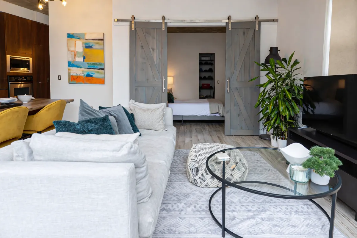 Bedroom with walk-in closet and barn doors