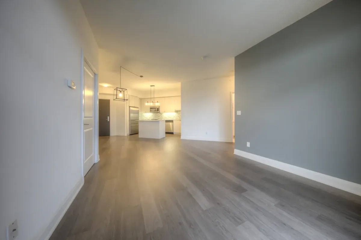 Open concept kitchen, dining and living area