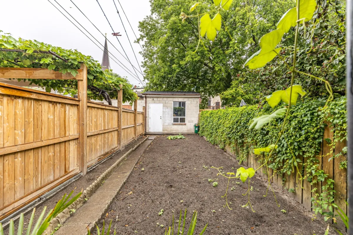 Private fenced garden in the backyard
