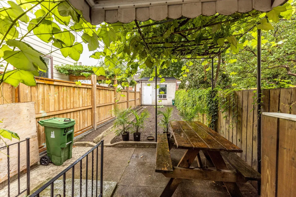 Backyard oasis in Little Portugal, Toronto with your own grapes