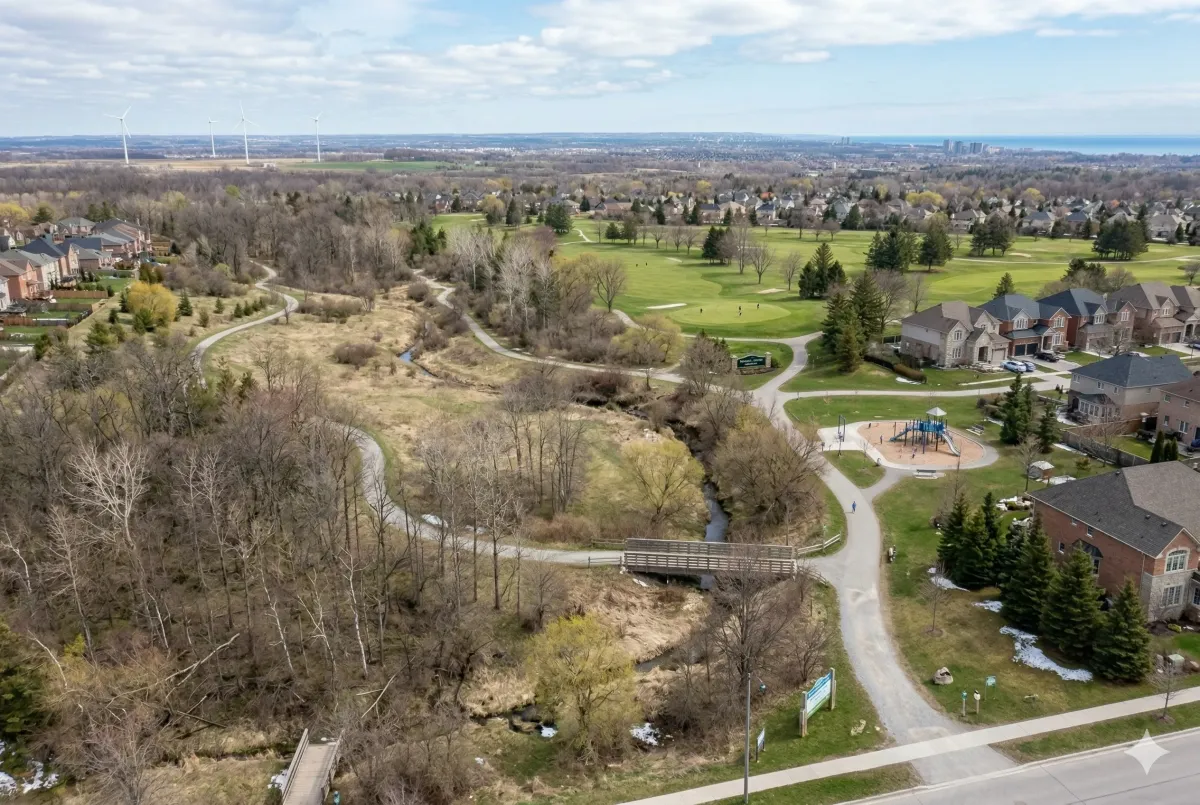 ush, tree-lined residential street view of Mountainside Burlington during summer, highlighting the neighborhood's deep setbacks.