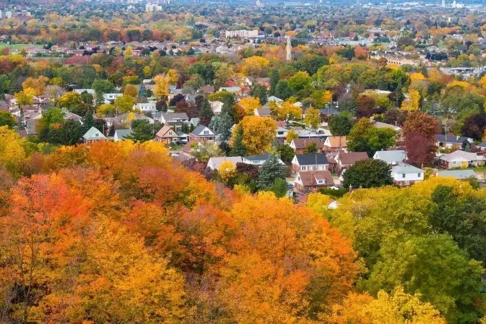 A scenic view of a residential neighborhood in Hamilton featuring colorful autumn trees and suburban homes.