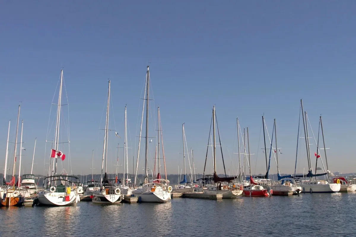 Sailboats docked at the Hamilton waterfront marina on a clear, sunny day at Bayfront Park.