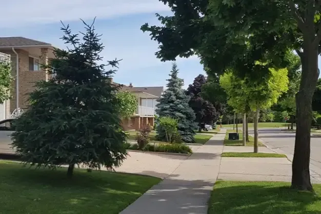 Quiet residential street with mature trees and green space in Stoney Creek.