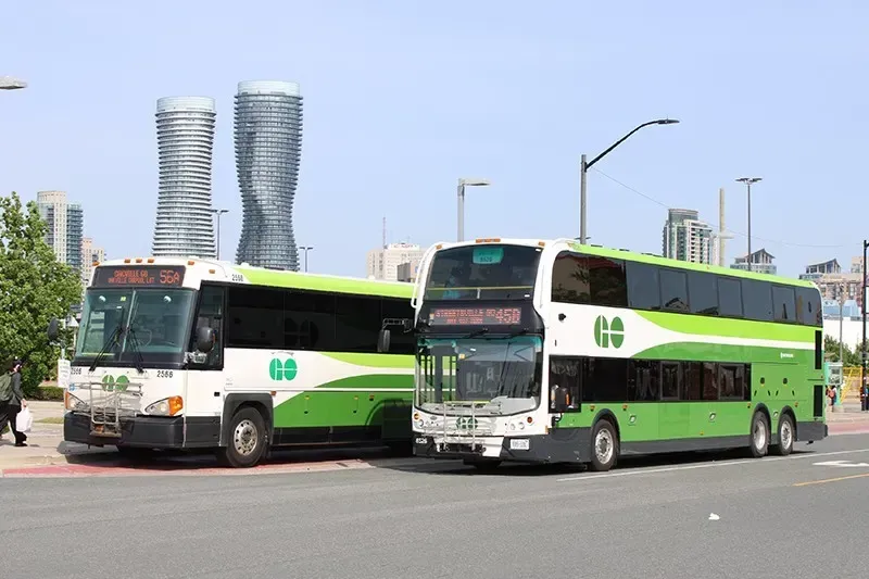 Green GO Transit buses at a transit hub in Mississauga.