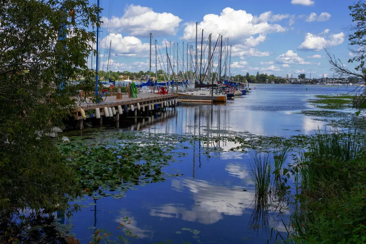 Sailboats docked at Frenchman's Bay Marina, a top destination for things to do in Pickering.
