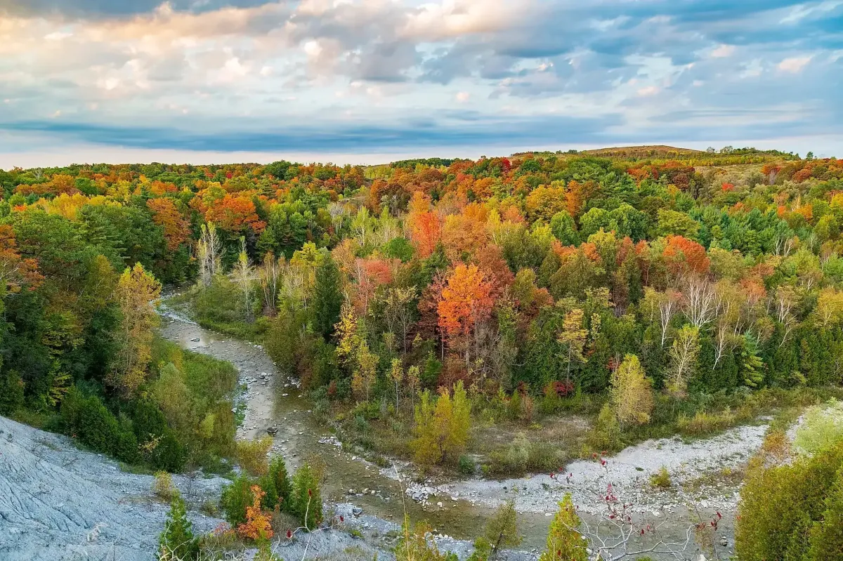 Lush greenery and winding river views of Rouge National Urban Park in autumn.