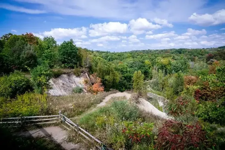 The expansive 53-hectare Altona Forest conservation area and walking trails.