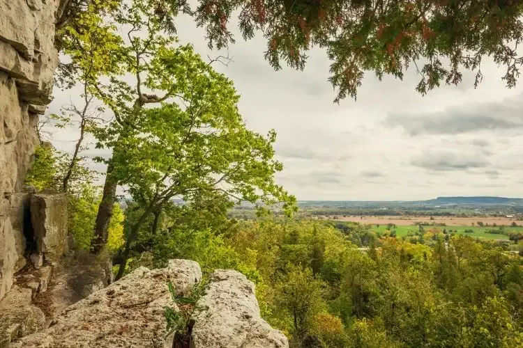 Panoramic cliffside view of the Niagara Escarpment from the Buffalo Crag lookout at Rattlesnake Point.