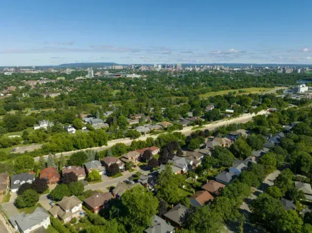 High-angle view of the lush green canopy and homes in Dorset Park.