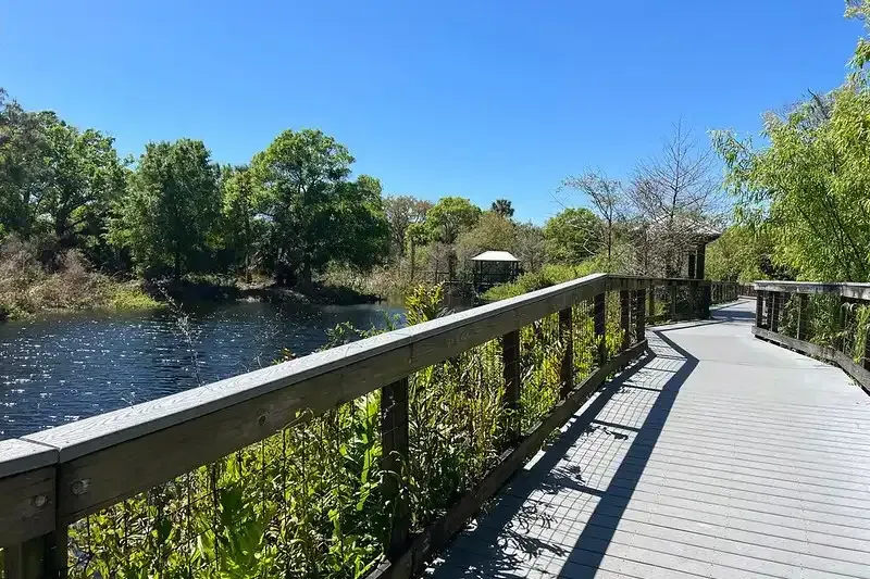 Scenic view of the wooden boardwalk at Lake Wilcox Park in Oak Ridges.