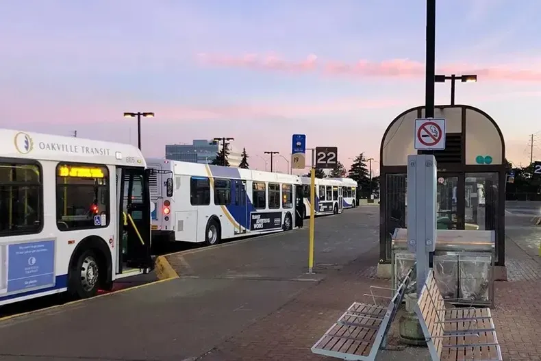 Several Oakville Transit buses parked at a local transit terminal during sunset.