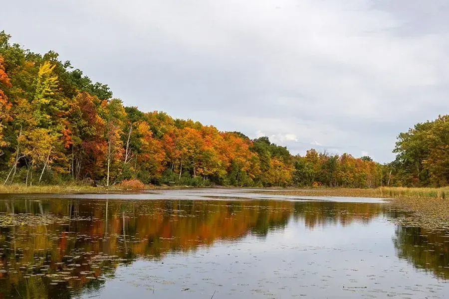Autumn foliage reflecting in the calm lake waters at Terra Cotta Conservation Area.