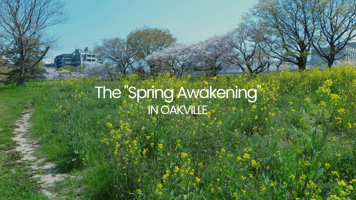 Spring flowers blooming in Gairloch Gardens Oakville with a well-maintained detached home in the background.