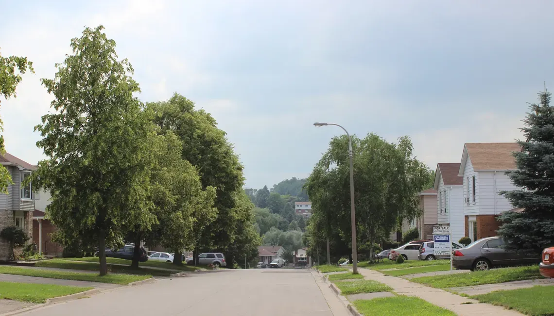 Lush, tree-lined street in the Forest Heights neighborhood showing mature landscaping and single-family houses.