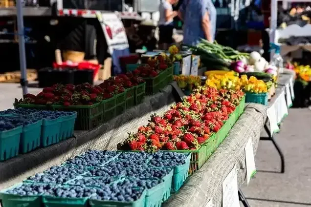 Fresh berries and local produce on display at the historic Cambridge Farmers' Market in Ontario.