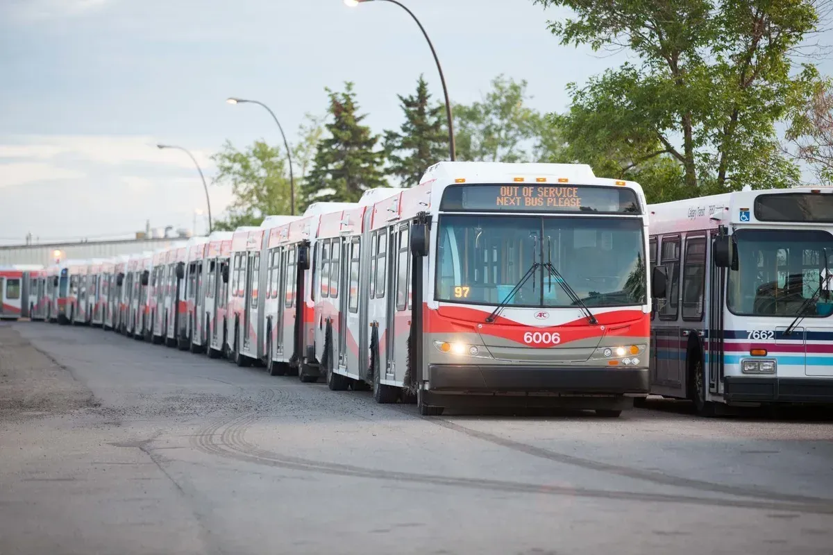 A line of Calgary Transit buses, representing the city's public transportation infrastructure and connectivity.
