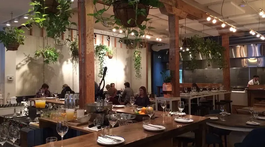 Warm and plant-filled dining room of Ten Foot Henry, a popular vegetable-forward restaurant in Calgary.