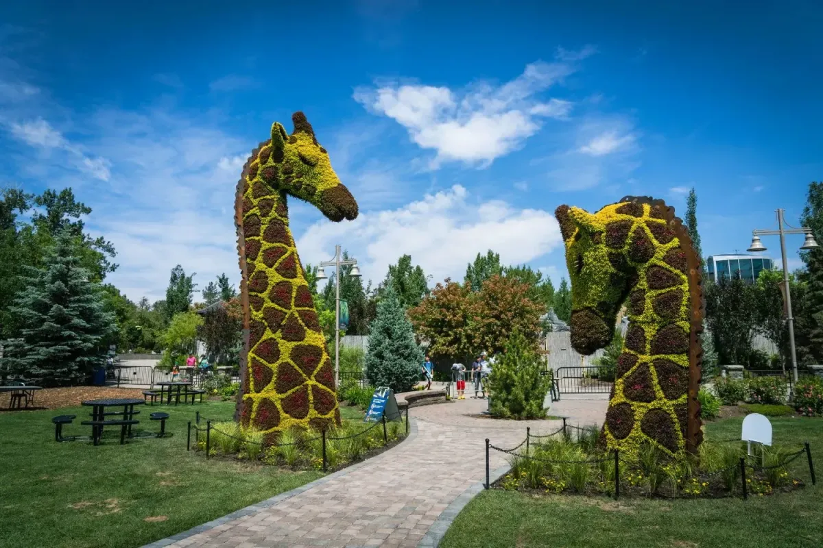 Lush greenery and giraffe-shaped topiaries welcoming visitors at the Wilder Institute Calgary Zoo.