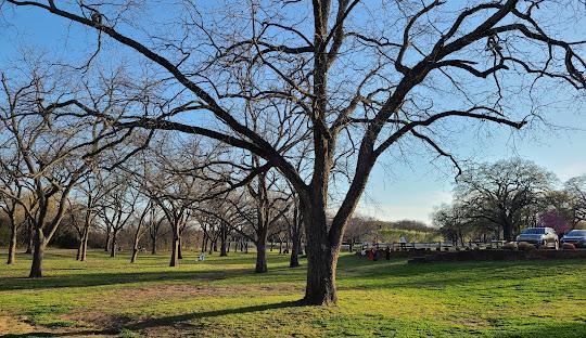 Elmer W. Oliver Nature Park, Mansfield, TX