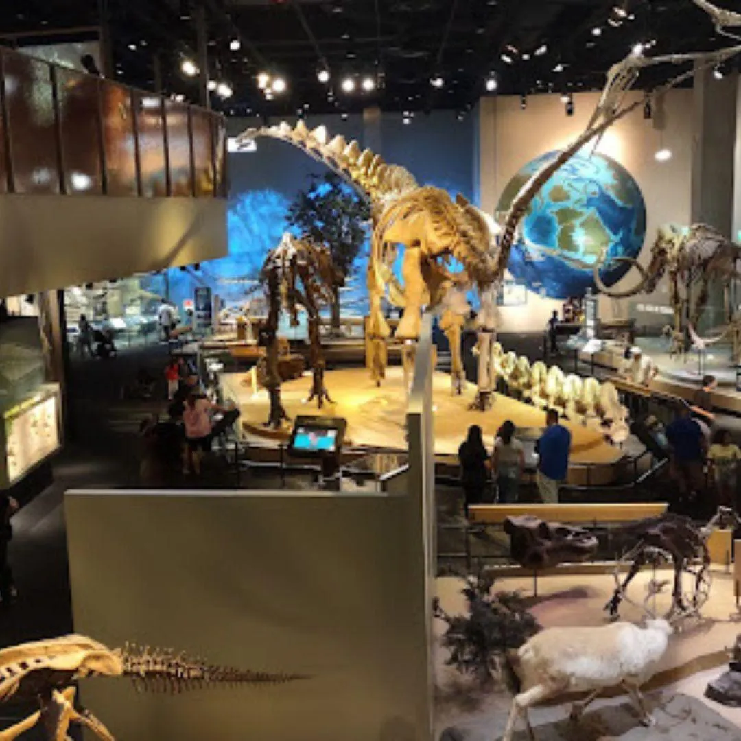 Perot Museum of Nature and Science