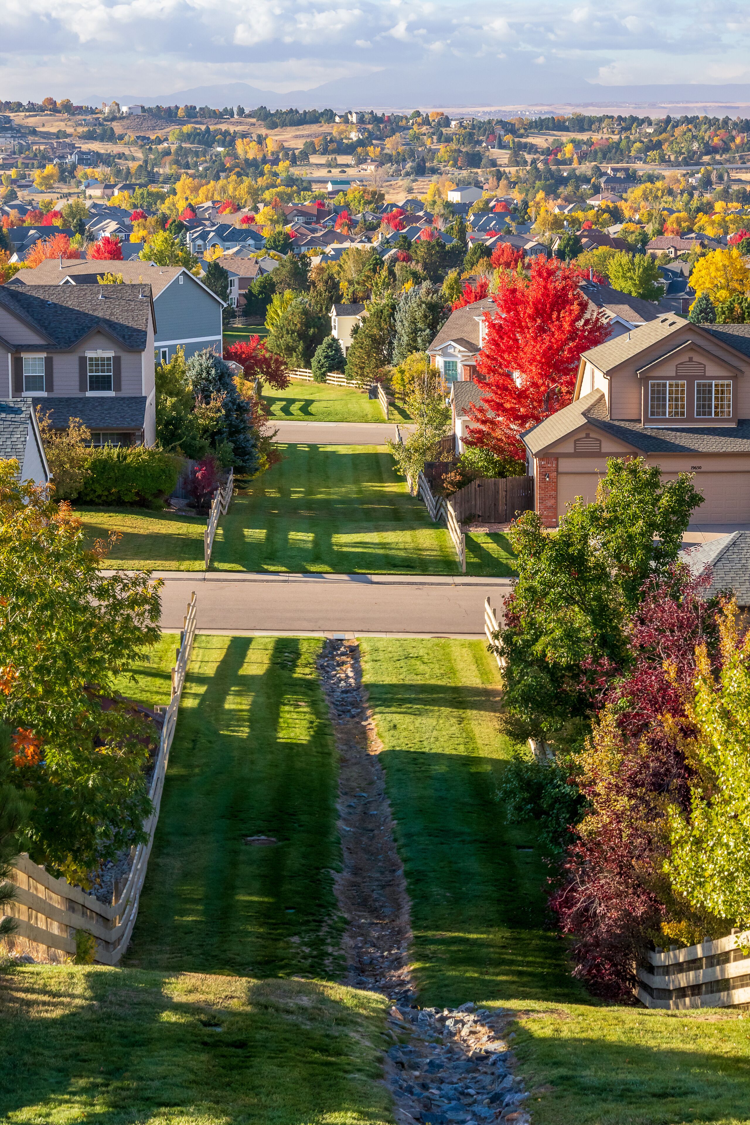 View looking down a sunny street lined with mature green trees and commercial or multi-family buildings.