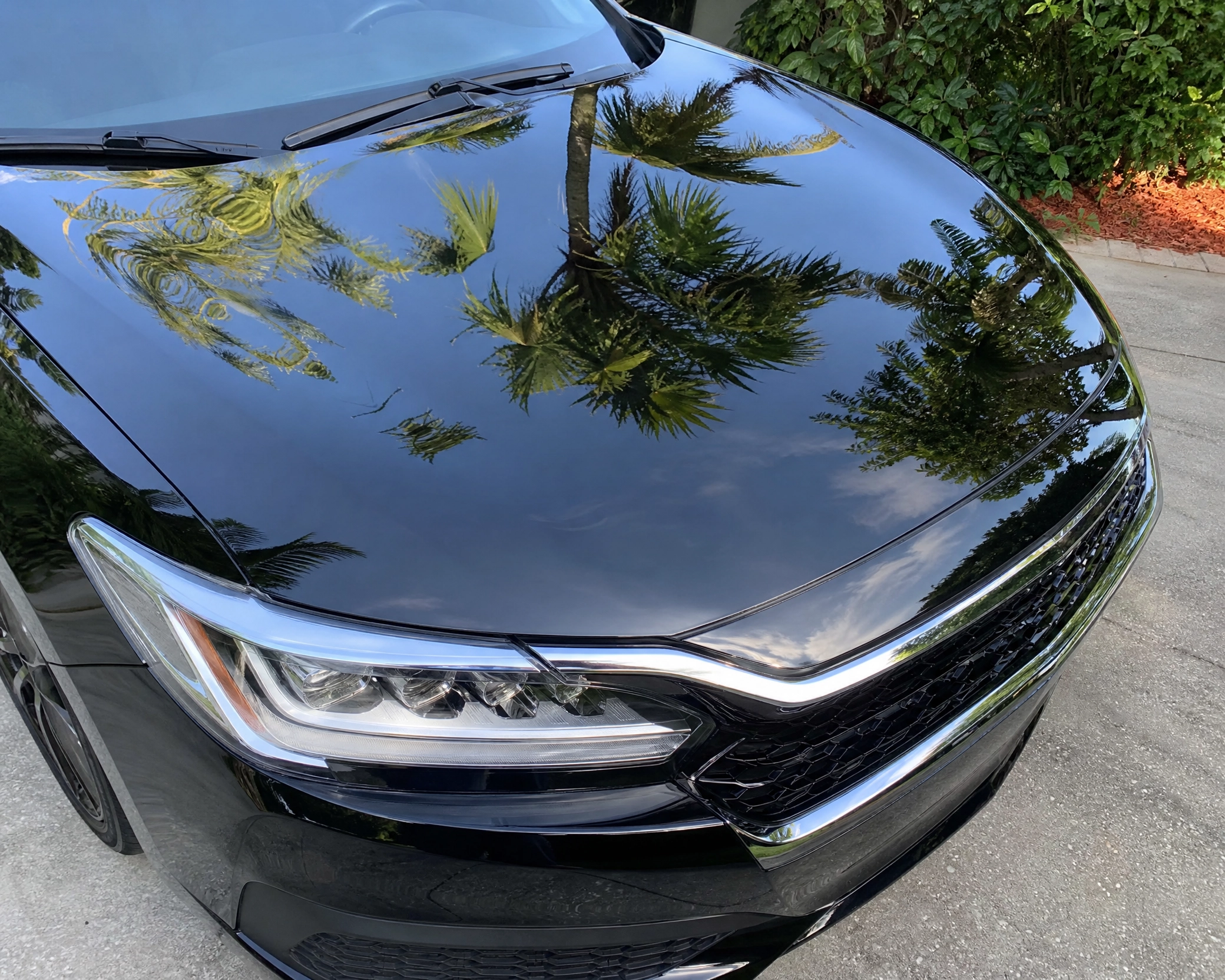 RV Detailing