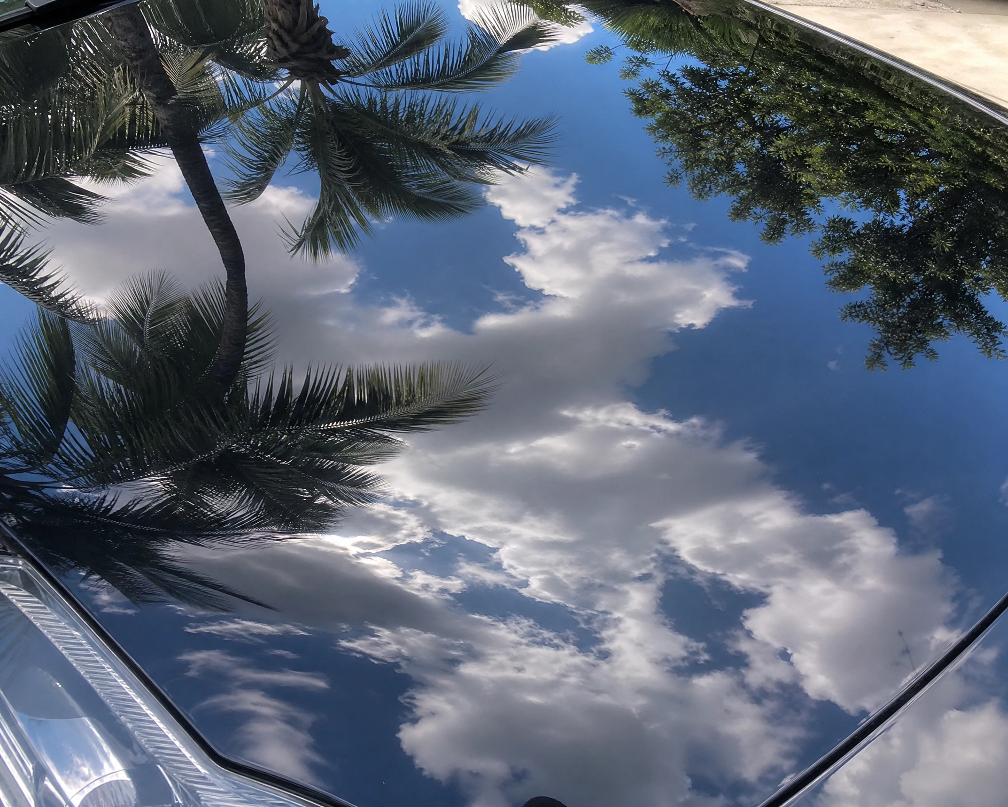 RV Detailing