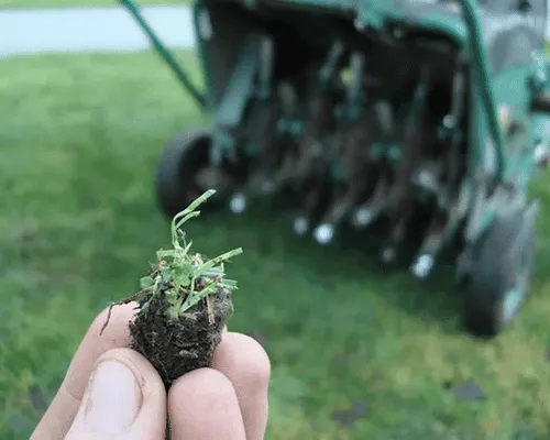 Lawn Aeration in Lansing
