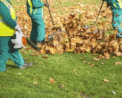 Spring and Fall Cleanups in Lansing