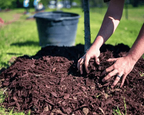 East Lansing Mulch Installation