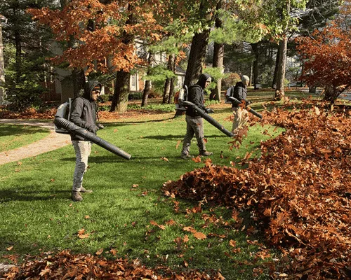 Mason Lawn Maintenance