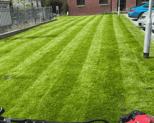 Landscaping Lansing