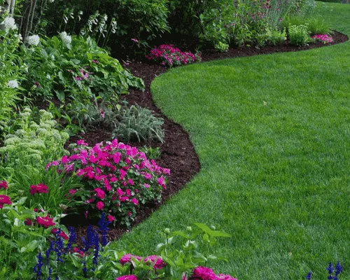 Lawn Maintenance