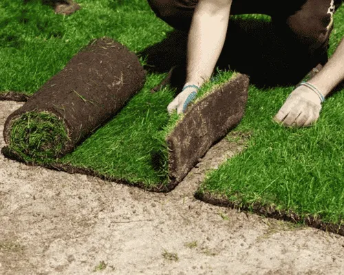 Commercial Grounds Maintenance Lansing