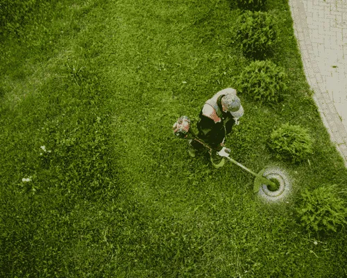 Lawn Maintenance Lansing